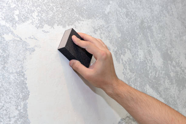 Best Black Mold Removal  in Clearwater, KS